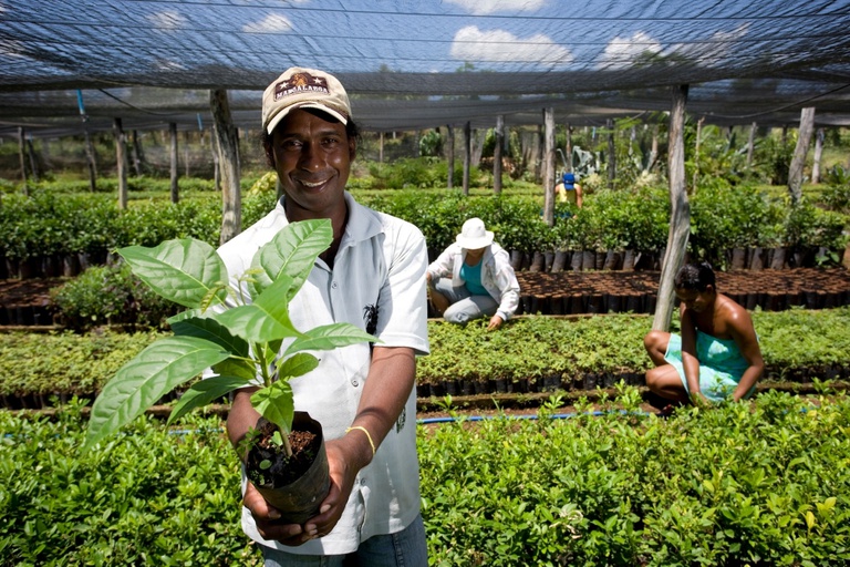 Contrata+Brasil já movimentou R$ 185 mil com MEIs e agricultores na Paraíba