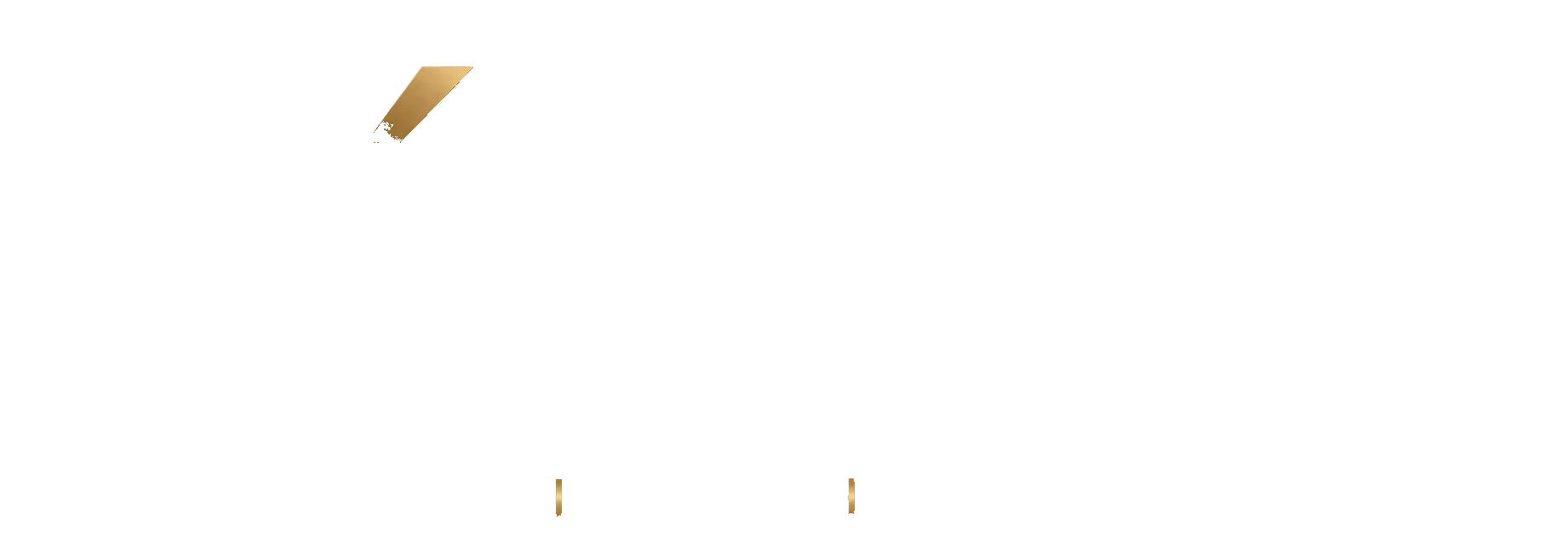 VÉRTICE — Informação, Poder, Desenvolvimento